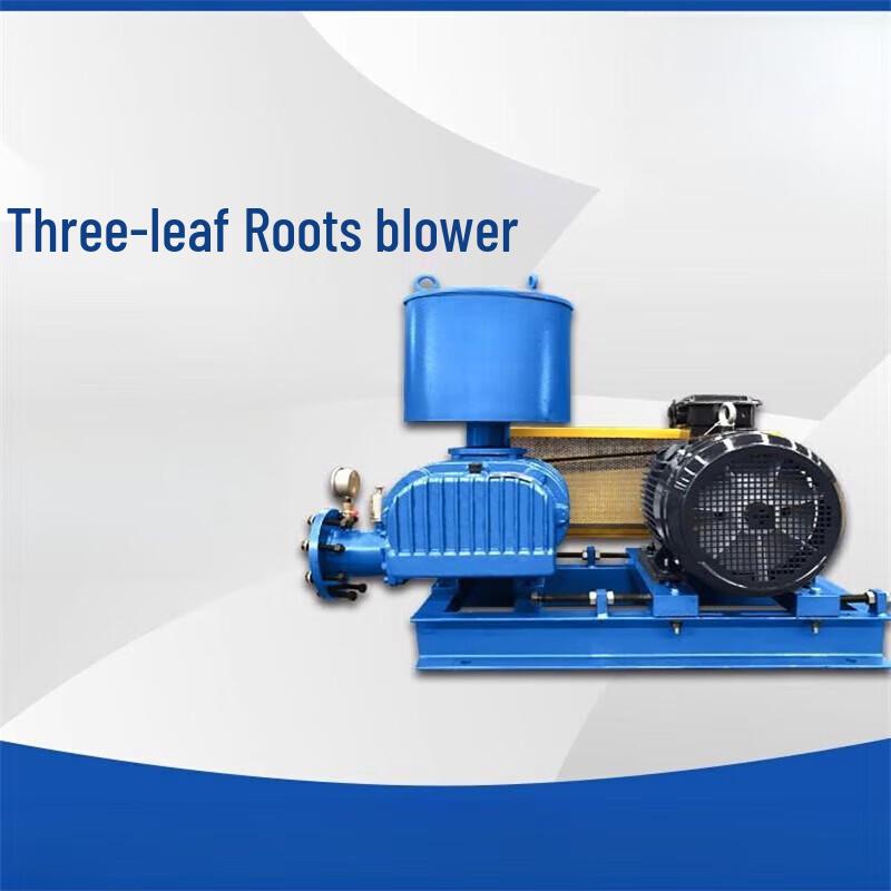 Erbeli BJSS-50 Industrial Roots Blower CN plug (adapter included)