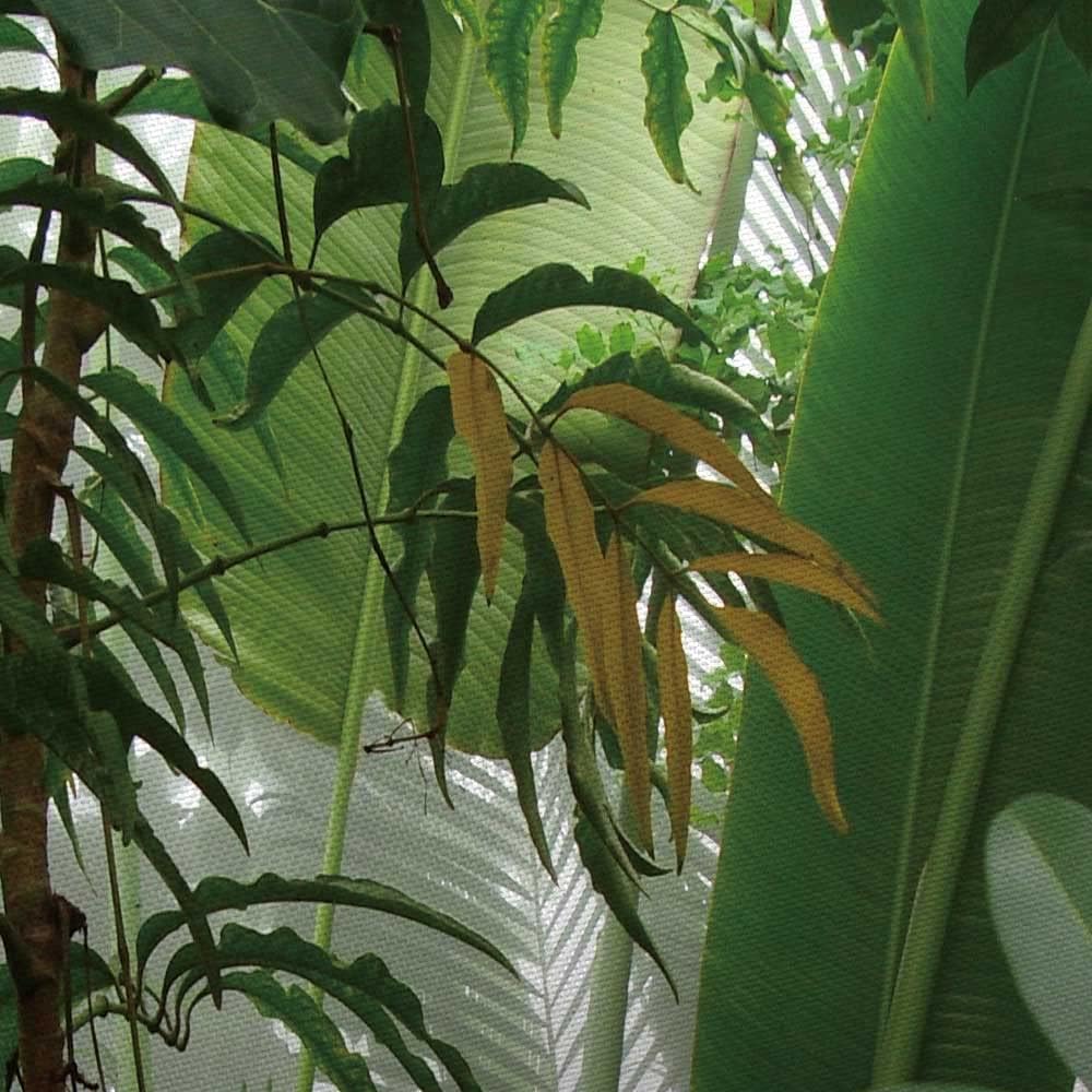 Green Plant Tapestry, Aesthetic Banana Palm Tree Leaves Wall Hanging for Bedroom, Tropical Forest College Dorm Home Decor