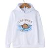 Cute Capybara Cartoon Print Design Kawaii Children's Clothes for Autumn and Winter Warm Pullovers for Girls Boys