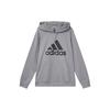 Pullover Herren Grau Mit Kapuze Moderat Regular GH6662