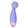 Portable Rechargeable Vibrator Set: Mini AV Vibrator & Teasing Egg for Women