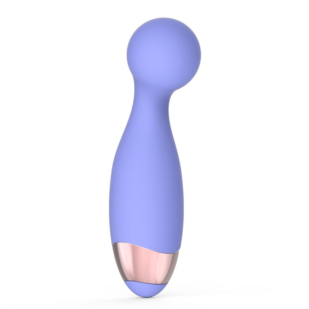 Portable Rechargeable Vibrator Set: Mini AV Vibrator & Teasing Egg for Women