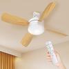 TANKAO Ceiling Fan Tatami Mat with Wall Control Memory LED DC E26 Color Temperature Airflow Energy No Installation Stylish Lighting Remote Hook Socket