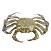 Crab Figure Model Toys Sea Animals Figures for