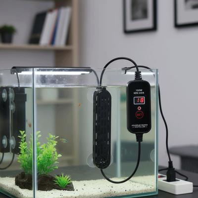 Ryby a mořští živočichové – Teploměry pro akvárium