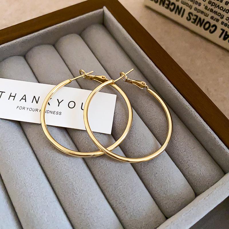 Stylish Silver Needle Round Hoop Earrings: Simple, Fashionable, Versatile, with a Light Luxury Feel