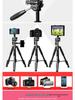 Multi-Function Mobile Phone Tripod with Beauty Fill Light for Outdoor Video & Selfie