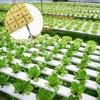 Ghivece de flori și coșuri – Sol pentru plante