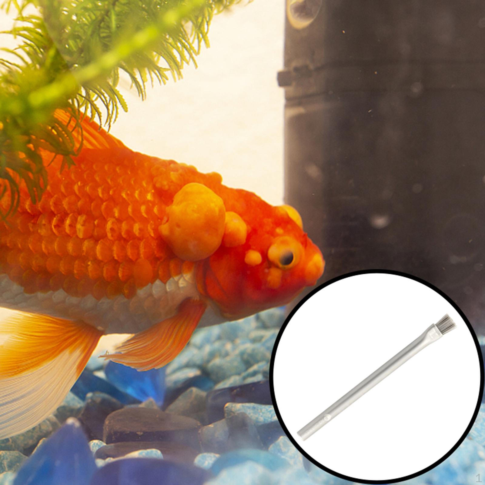 

Remover for Tanks and Aquariums Soft