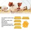 Animal Ear Tag Thick 01 To 100 Number Easy Identification Plastic Livestock Ear Tags for Cattle Goat Pig Yellow with lettered cow ear tag