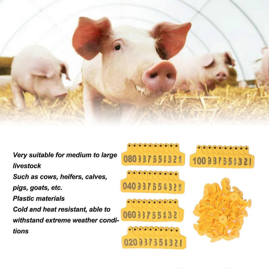 Animal Ear Tag Thick 01 To 100 Number Easy Identification Plastic Livestock Ear Tags for Cattle Goat Pig Yellow with lettered cow ear tag