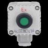 LINCOOS Explosion-Proof Alarm Disarm Switch CN Plug (adapter Included)