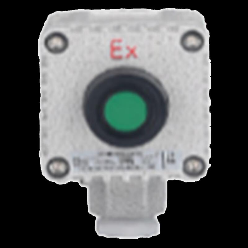 LINCOOS Explosion-Proof Alarm Disarm Switch CN Plug (adapter Included)