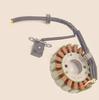 Compatible with UR110T Lezhi QS110T Lizhi UZ110T Engine Stator Coil Magneto Ignition Trigger