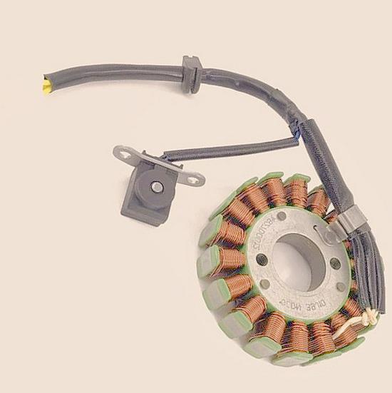 Compatible with UR110T Lezhi QS110T Lizhi UZ110T Engine Stator Coil Magneto Ignition Trigger