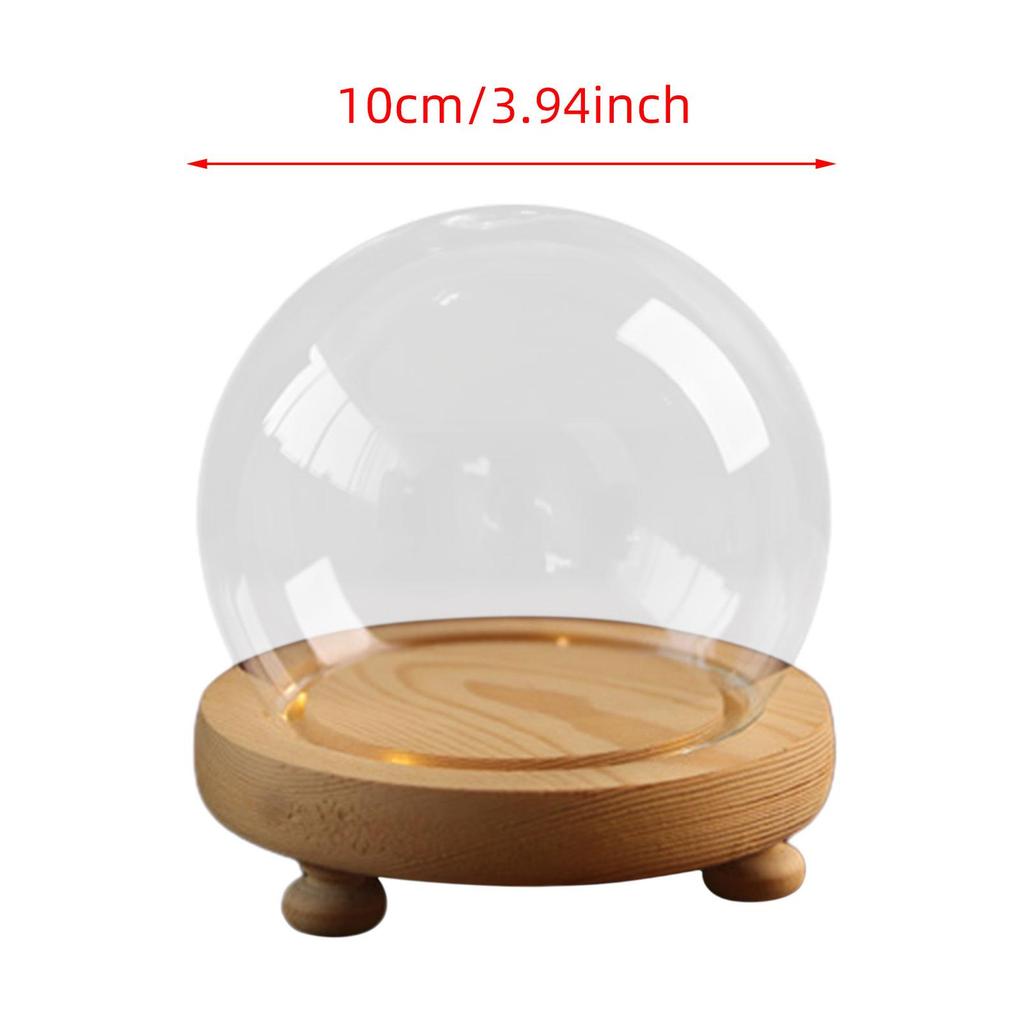 Glass Display Dome Clock with Wooden Base Plant Glass Container Jar Everlasting Lid Christmas Decoration Stand for Crafts Roses