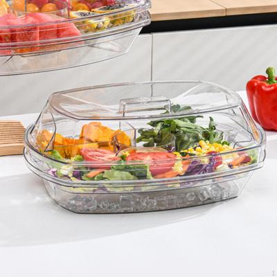 Chilled Serving Tray with Lid Veggie for Salad Appetizer BBQ