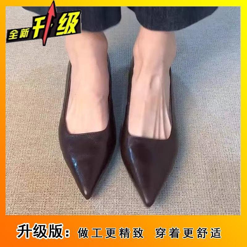 

Модные остроносые туфли на низком каблуке из маленькой кожи для женщин 2025 весна и лето новые ретро верхняя одежда рабочая обувь для женщин 40