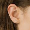 HON018 Freshwater Pearl Earrings