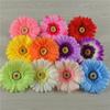 African Daisy Hair Ornament & Seaside Prop