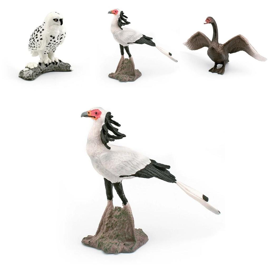 Bird Replica Grey Swan Plastic Model For Home Decor Or Museum Display