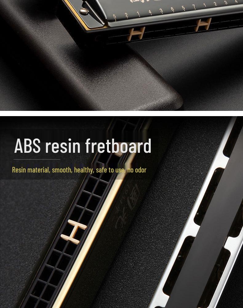 Beginner 24-Hole Double Reed C Key Harmonica for Adults and Children - Ideal Self-Study Gift