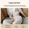 SKG K5 2nd Gen Lumbar & Waist Massager with Heat and Pulse CN plug (adapter included)
