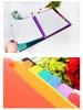 Meerlaagse A4 Witte Documenthouder met Regenboog Tabs - Studenten Examenmap en Archiefmap