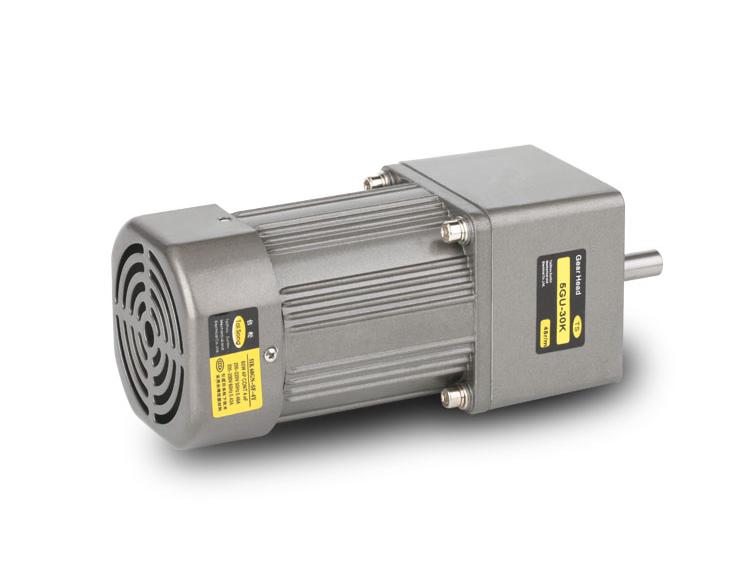 60W Taisong Mini maiņstrāvas reduktora motors:
