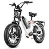 2025 NEW LUNA 1000w Electric Bike 85N-m Torque 48v 15ah Battery Color LCD Display 20*4.0 Inch Fat Tires Commuting Electric Bike
