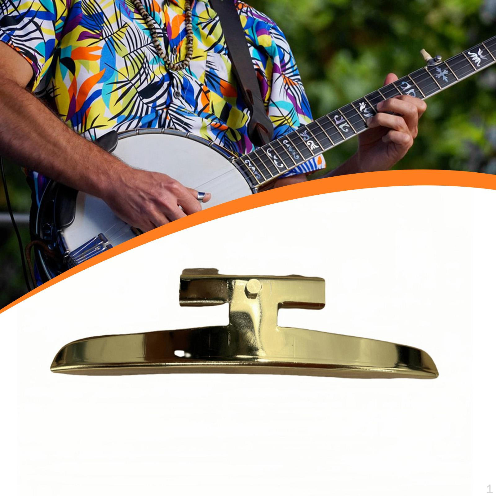 

Single Leg Banjo Armrest Accessories Polished Elegant with Mounting Bolt and Retainer Zinc