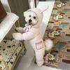 Warm Winter Dog Rompers,4 Legs Thicken Puppy Overalls, Dogs Down Jacket For Small Medium Breeds,Cute Bunny Design With Pockets