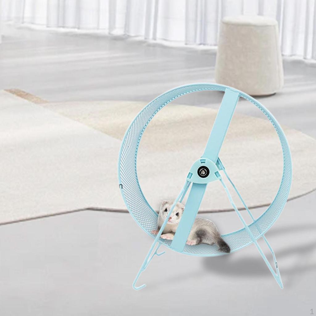 Down Hamster Exercise Whene