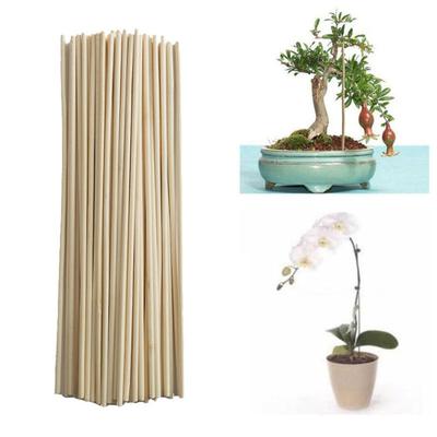 Kit de piquets de bâtons pour plantes de jardin, Support tomates pois, outil de jardin 50 pièces