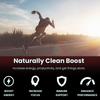 Vegetarian Ginseng Root Extract Capsules, Ginkgo Biloba 60mg, for Boosting Energy and Concentration, Suitable for Both Men and Women.