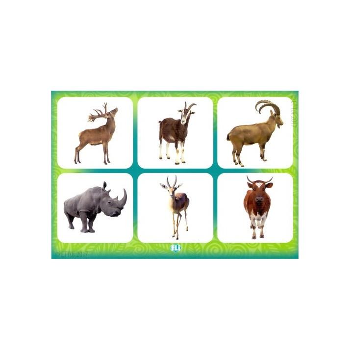 English The Animal Kingdom. Language Game. ELI & ET TOI