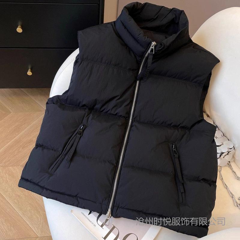 Autumn and Winter Design Sense New Down Cotton Vest Short Stand-up Collar Korean Version Loose and Thin Vest Cotton Coat Tide