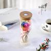 Luminous Rose LED Wishing Bottle Gift Box for Teacher's Day & Mid-Autumn Festival