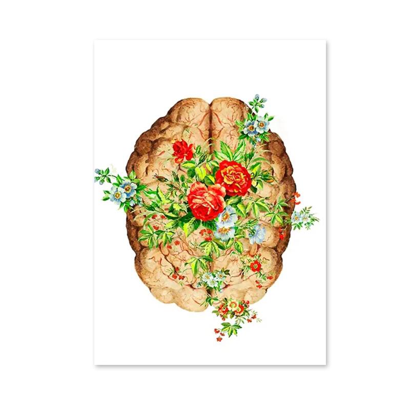 

Анатомия Медицинский Цветок Орган Настенная Живопись Холст Картина Антропология Образовательные Плакаты Печать для Лаборатории Декор Кабинета Врача 30x40cm No Framed