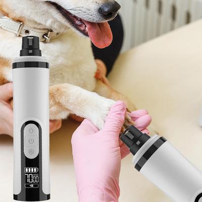 Köpek – Köpek bakım ürünleri