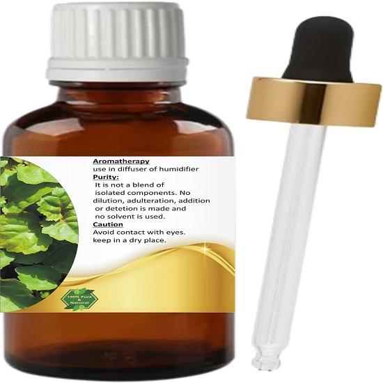 Levenmooi Patchouli, Light (Pogostemon cablin) Pure & Natural Therapeutic Grade Essential Oil Glass