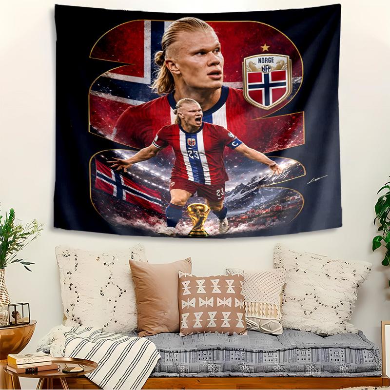 Haaland Tapestry, Wall Hanging Tapestry, Pattern Tapestry for Dorm Bedroom Living Room Wall Art Photography Backdrop