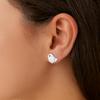 Cercei Stud Pasăre - Argint Sterling 925