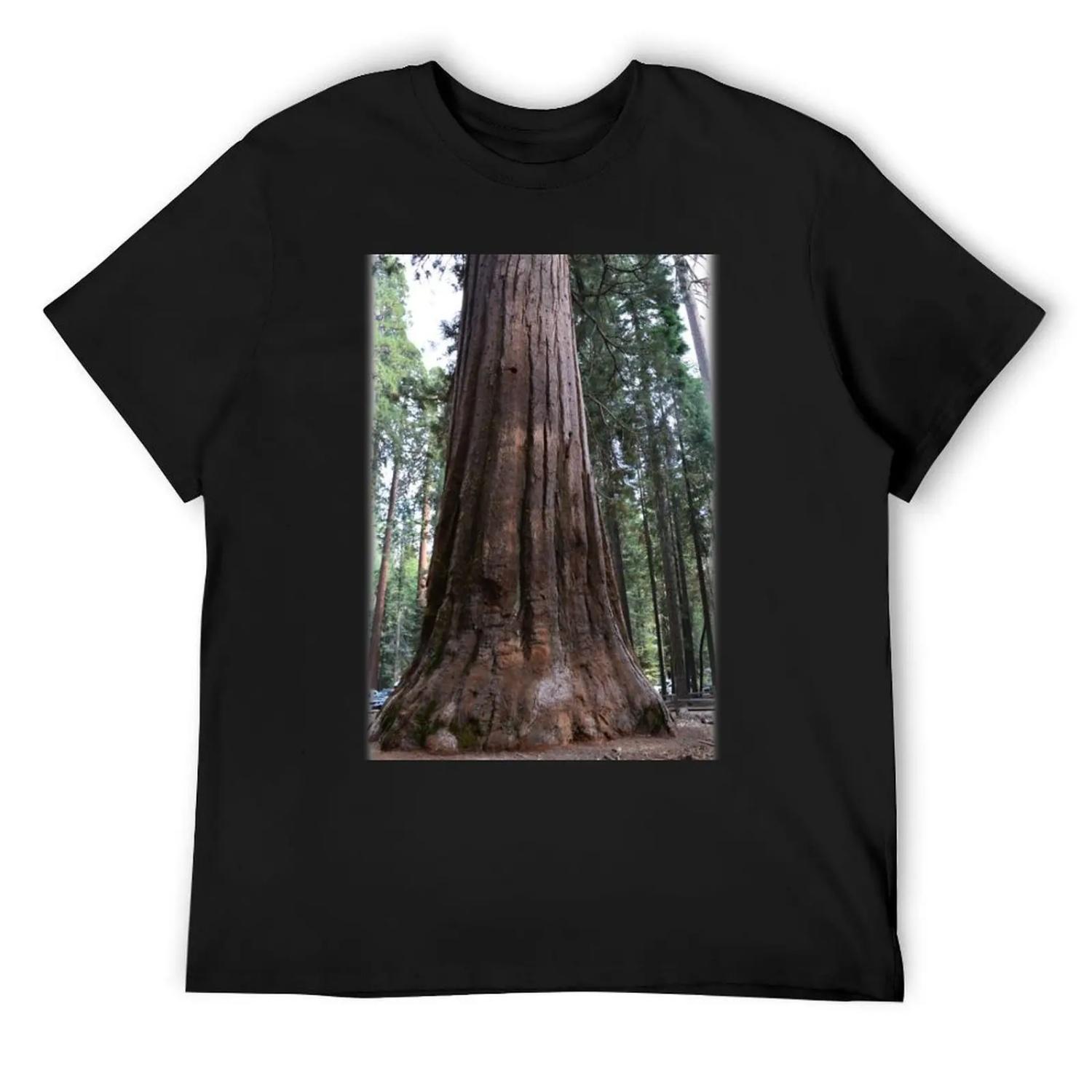 Калифорнийское гигантское секвойя-дерево S