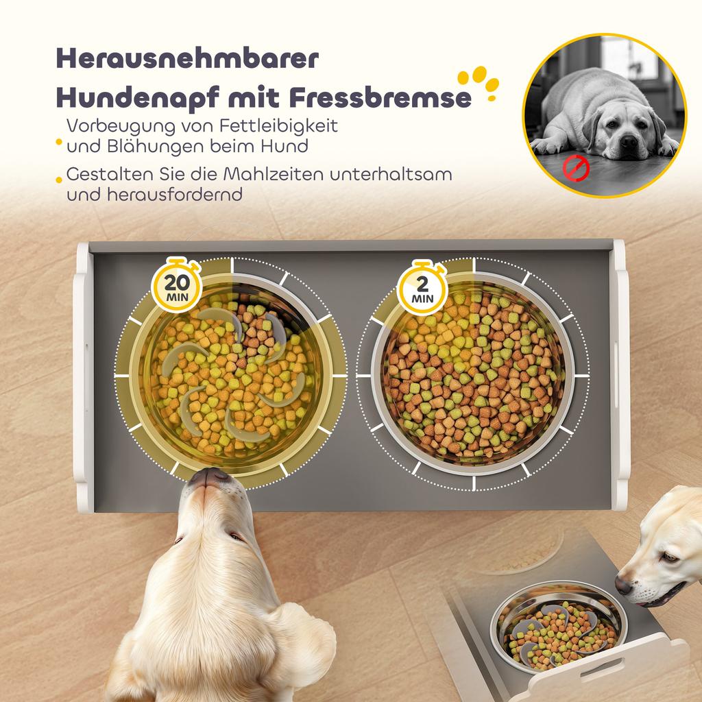 Elevated Dog Bowl Feeding Bowl with Storage Cabinet, 2 Bowls with Anti-Slip Rings, 60 x 30 x 35.5 cm, White