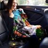 1pc, Enchanting Home Decor Flannel Blankets for Your Living Room, Bedroom, and More! Perfect As a Sofa Throw, Outdoor Blanket, or Travel