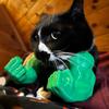 Braț Muscular de Pisică Braț de Gât Imprimat 3D cu Mușchi Animal de Companie Accesorii Costum Cosplay pentru Halloween Consumabile pentru Petrecere de Ziua de Naștere