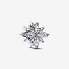Sparkling North Star Charm 793591C01
