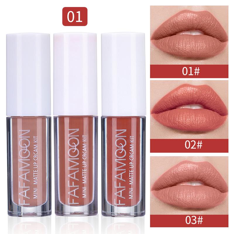 

3 шт./компл. зеркальная аква-глазурь для губ, матовый блеск для губ, высокопигментированная губная помада, легко окрашивается, антипригарная чашка, глазурь для губ, помада A