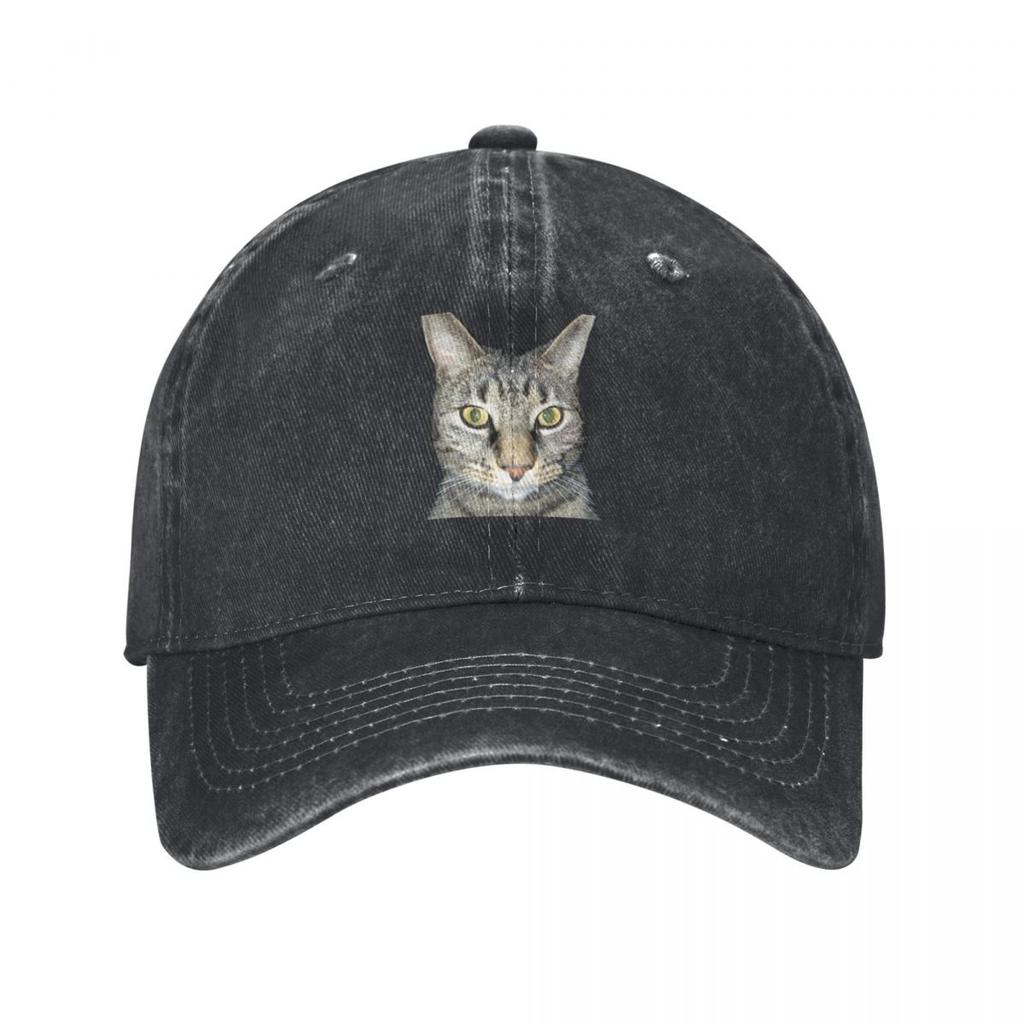 Tabby Cat Closeup Baseball Cap Dropshipping Rave Women's 2025 Men's